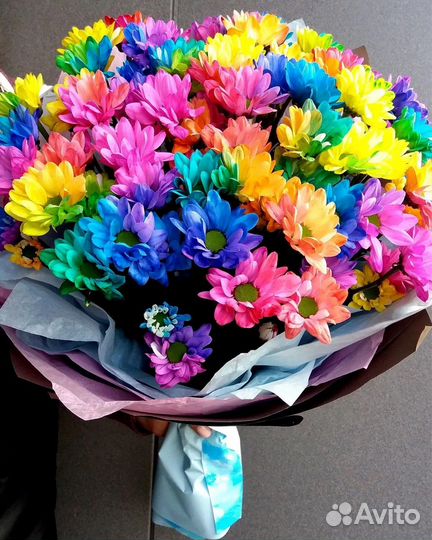 Хризантема