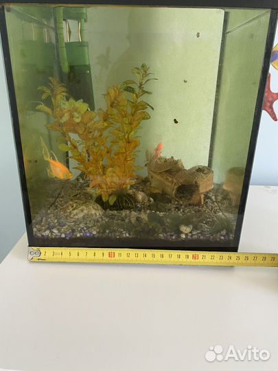 Аквариум