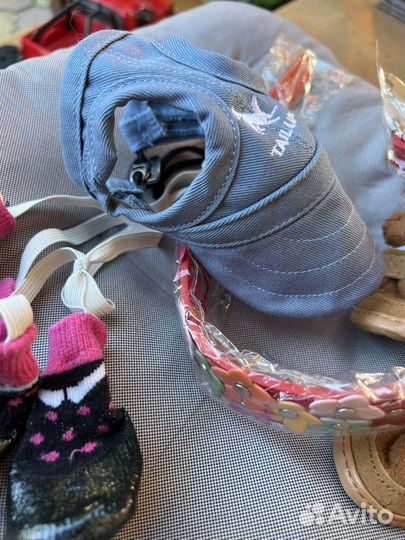 Ошейник носки ботинки для маленькой собаки