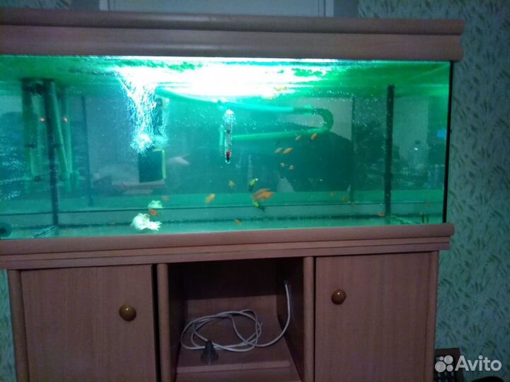 Аквариум
