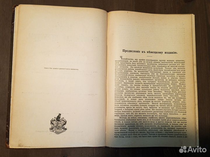 История первобытной культуры, 1896г