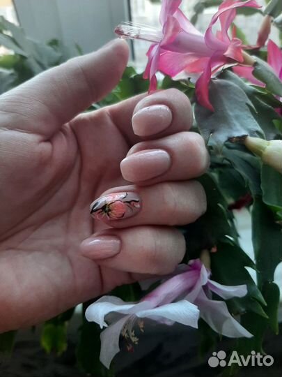 Маникюр/Покрытие гель лак