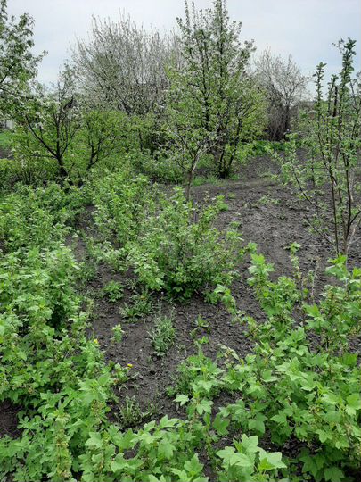 Участок 20 сот. (ИЖС)