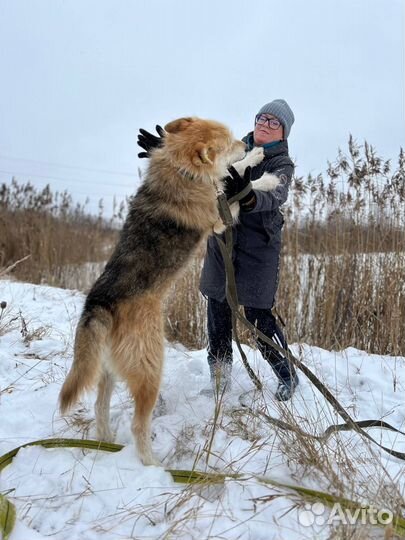 Супер Фёдор из приюта