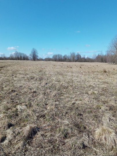 Участок 100 сот. (ИЖС)