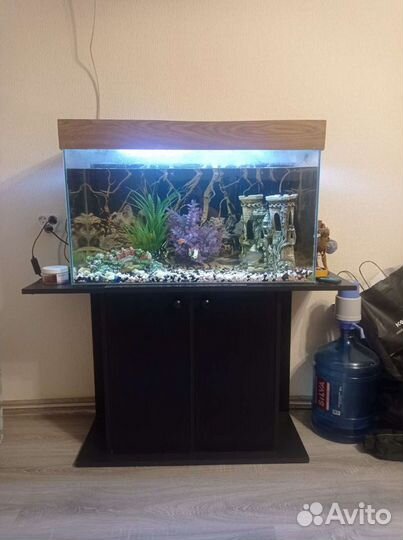 Аквариум с тумбой бу