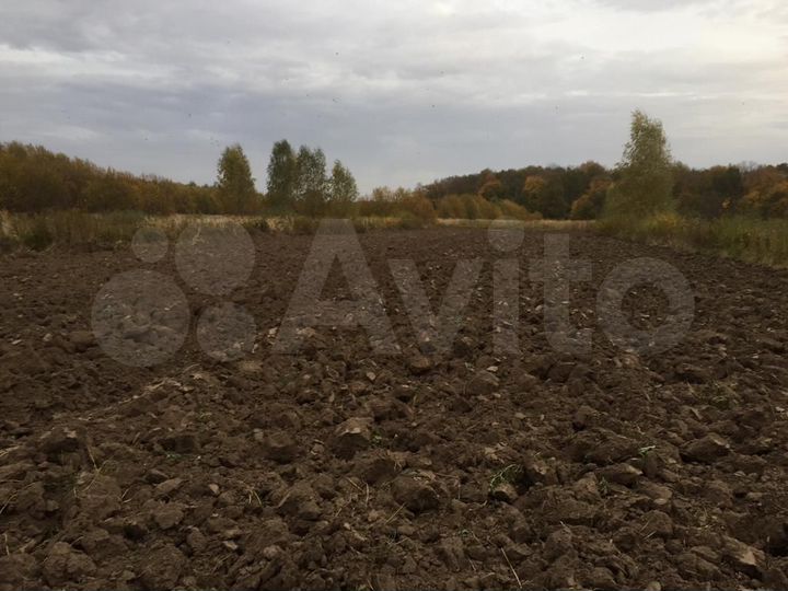 Участок 65 сот. (ИЖС)