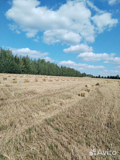 Солома в тюках с доставкой