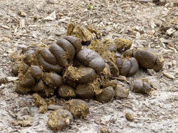 Навоз коровий, конский в мешках и валом с фермы