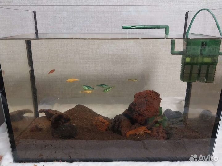 Аквариум с содержимым