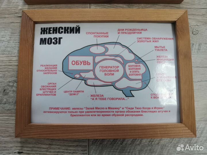 Постер в рамке мужской и женский мозг(цена за оба)