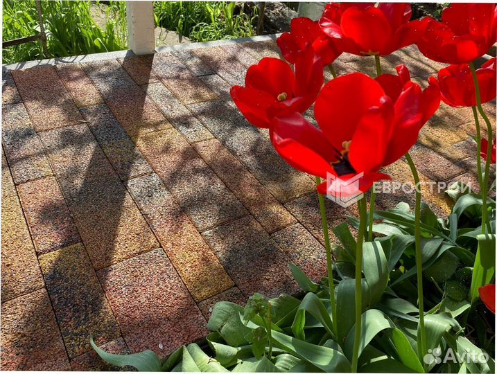 Тротуарная плитка с работами под ключ