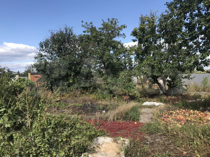 Участок 6 сот. (СНТ, ДНП)