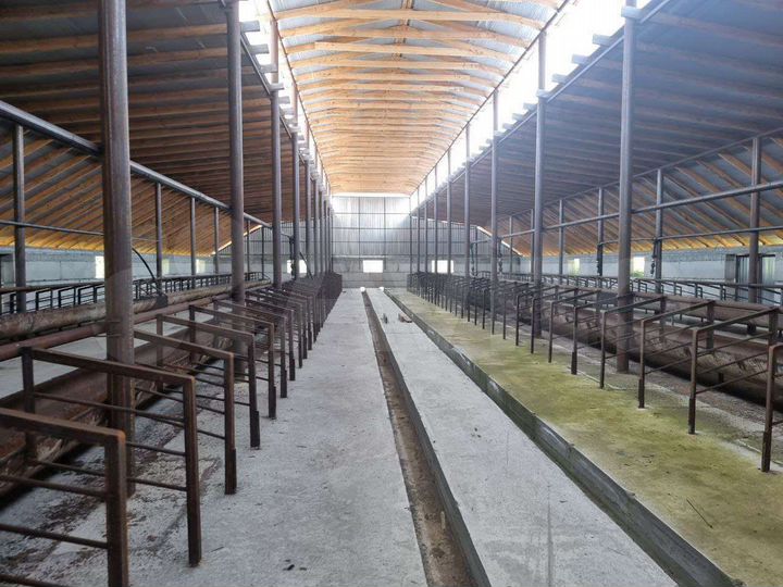 Ферма крс 26000 м²