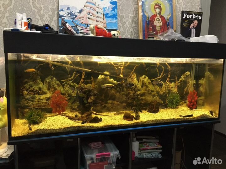 Аквариум 400 литров с тумбой