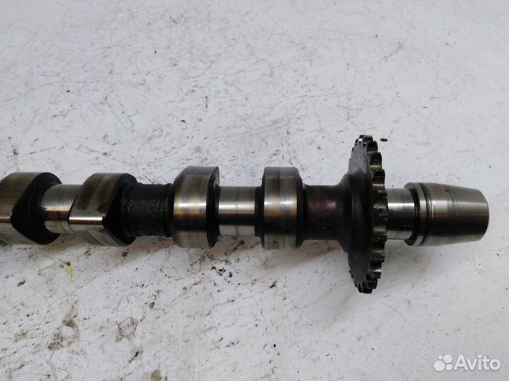 Распредвал выпускной Ауди