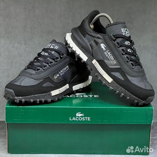 Кроссовки мужские Lacoste