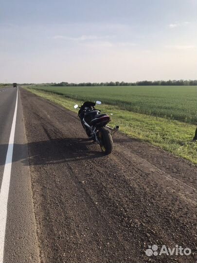 Suzuki gsxr1000