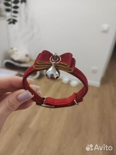 Ошейник для кошек мелких собак