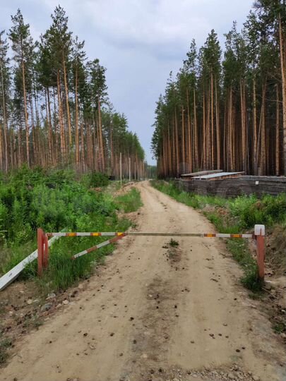 Участок 15 сот. (СНТ, ДНП)
