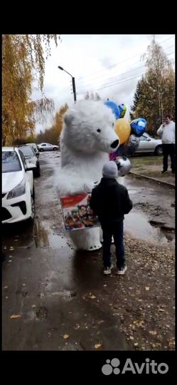 Поздравление медведя Умки