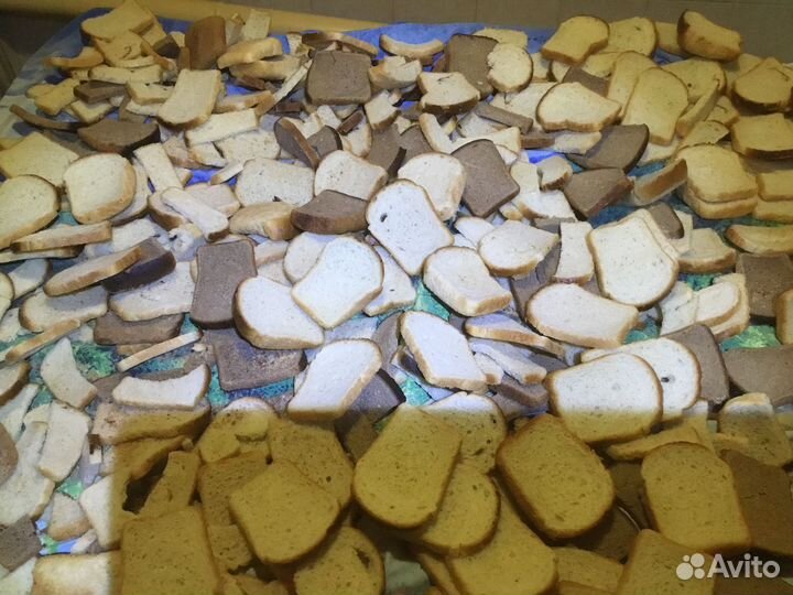 Товары для животных