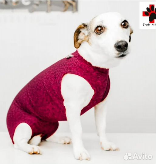 Попона для кошек собак