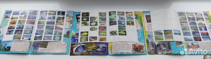 Детские книги позновательные