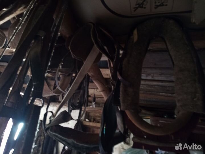 Конная амуниция