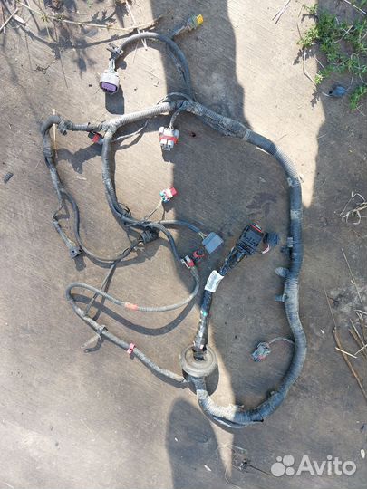 Проводка двигателя Лада Гранта, 21901-3724026-44