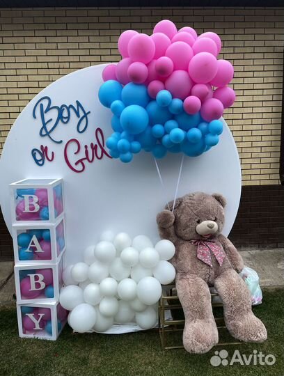 Фотозона на гендер пати, гендерпати