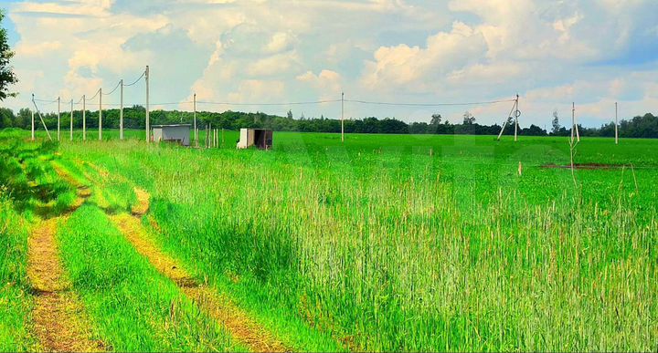 Участок 16,5 сот. (ИЖС)