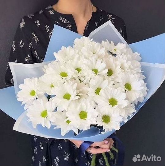Хризантема Букет хризантем Доставка