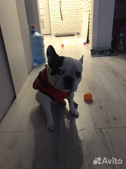 Теплый жилет