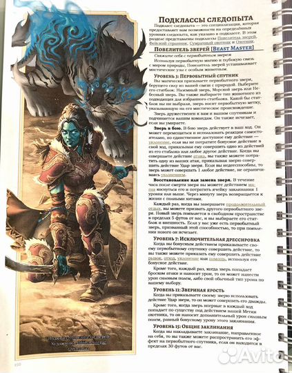 Dnd Книга игрока 2024г D&D