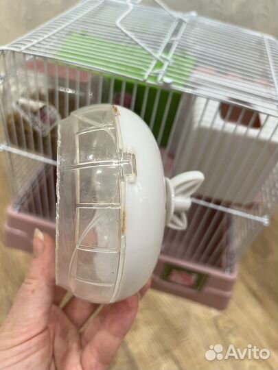 Клетка для хомяка и её содержимое
