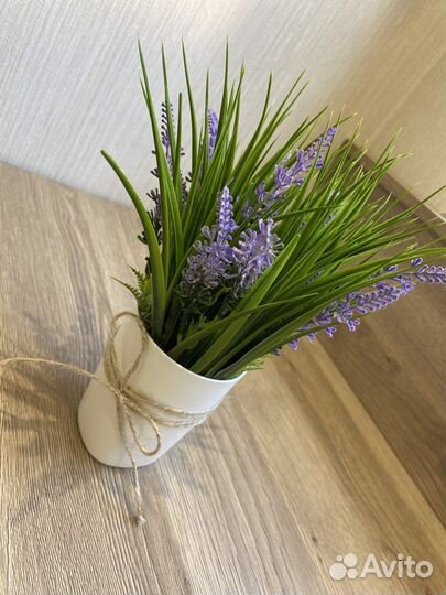 Лаванда в кашпо Икея