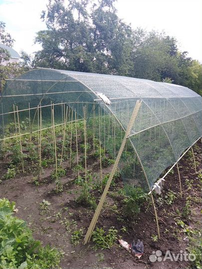 Колышки для помидора