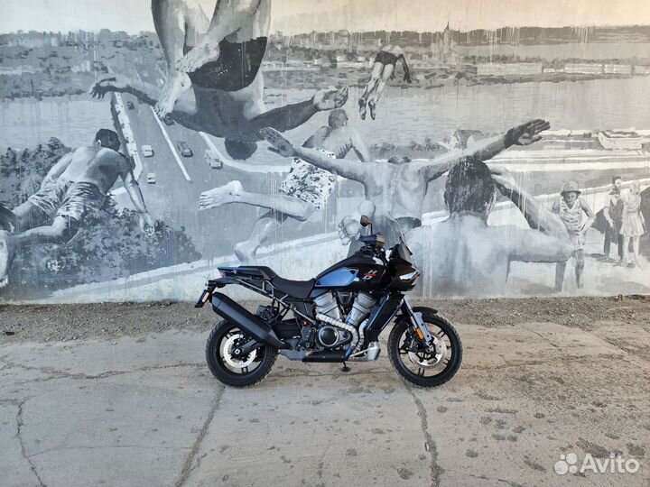 Harley Davidson Pan America