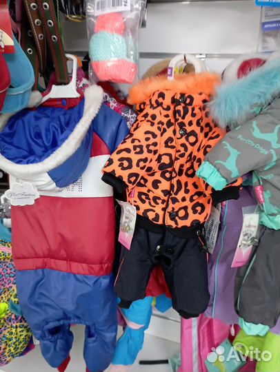 Одежда для собак