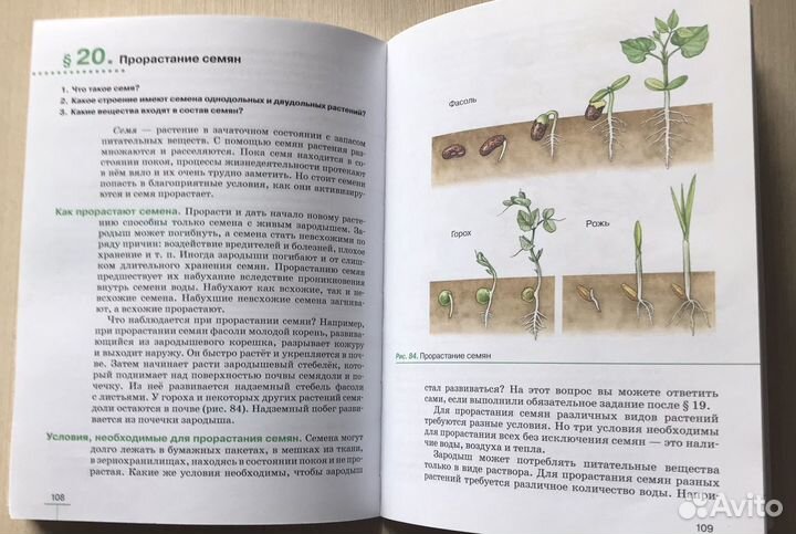 Учебник по биологии 6 класс