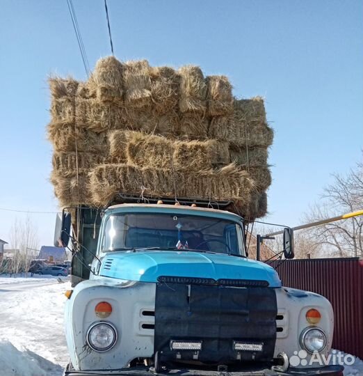 Сено в тюках