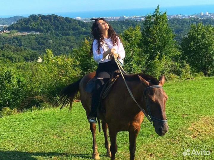 Конные прогулки Адлер, Сочи. Трансфер включен