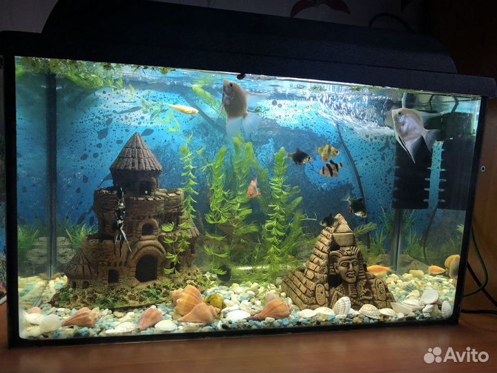 Аквариум
