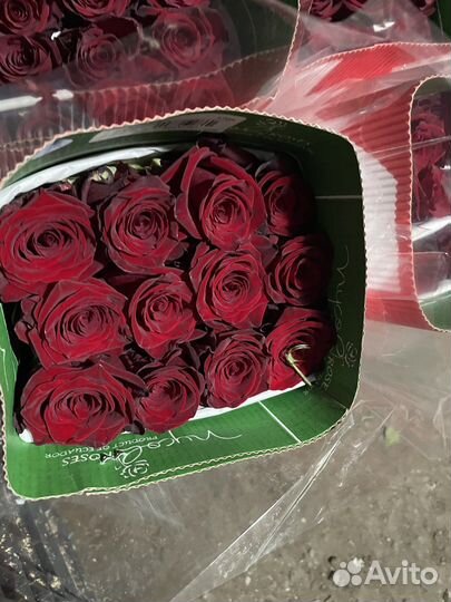 Розы,Хризантемы оптом