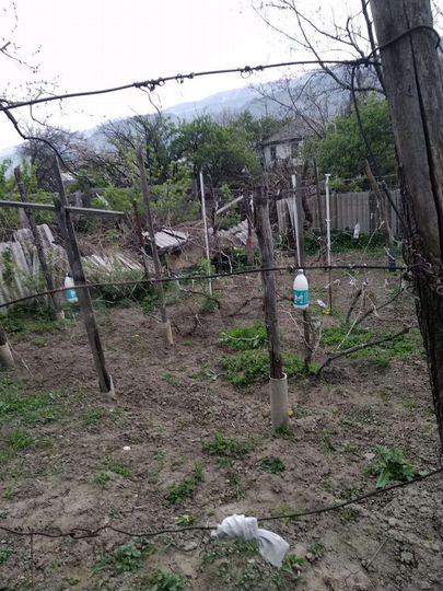 Участок 6 сот. (СНТ, ДНП)