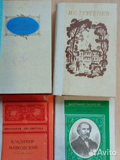 Школьная литература