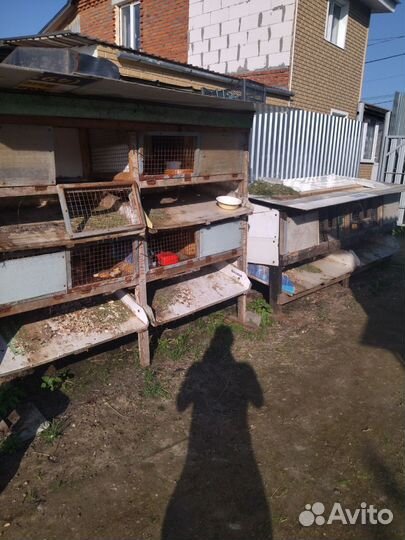 Клетка для кролика бесплатно