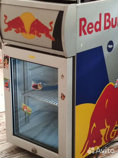 Холодильник Red Bull маленький