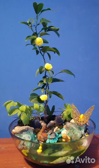 Подарки из живых цветов. Флорариумы на заказ